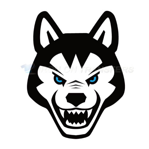 Northeastern Huskies Iron-on Stickers (Heat Transfers)NO.5639